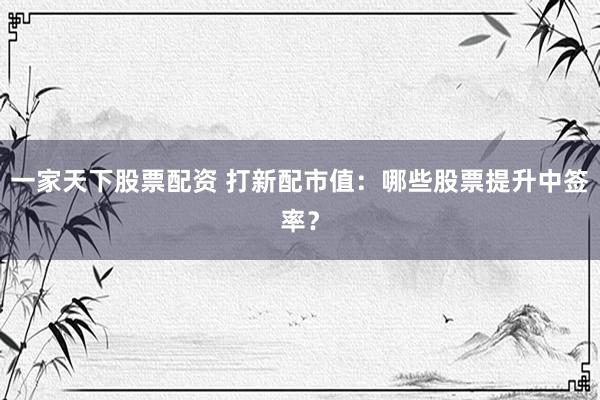 一家天下股票配资 打新配市值：哪些股票提升中签率？